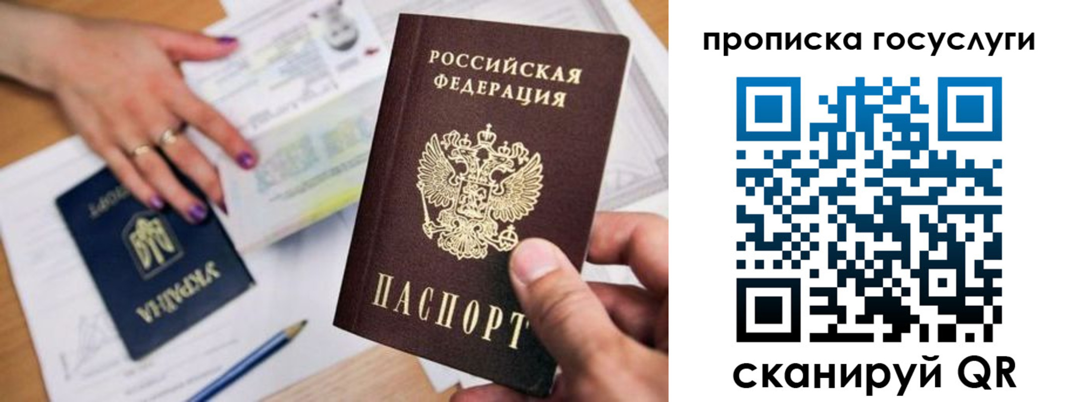 временная прописка в Зверево